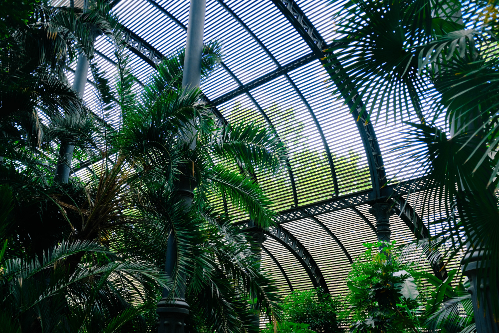 Bioclimate Pergola